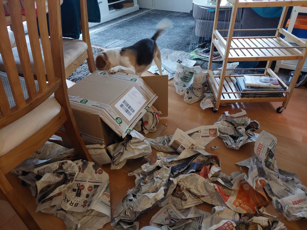 Klick für eine vergrößerte Abbildung Bild