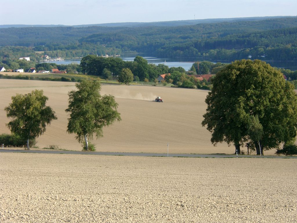 Klick für eine vergrößerte Abbildung Bild