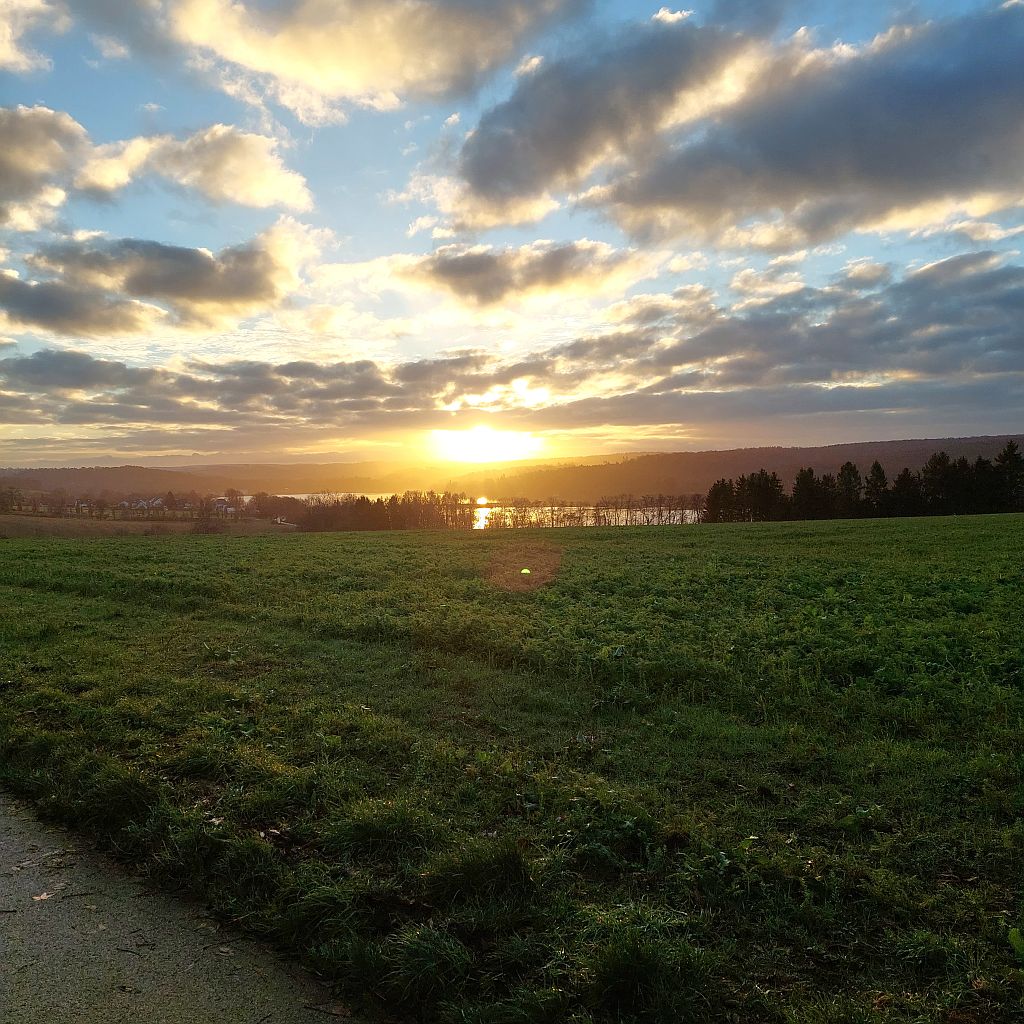 Klick für eine vergrößerte Abbildung Bild