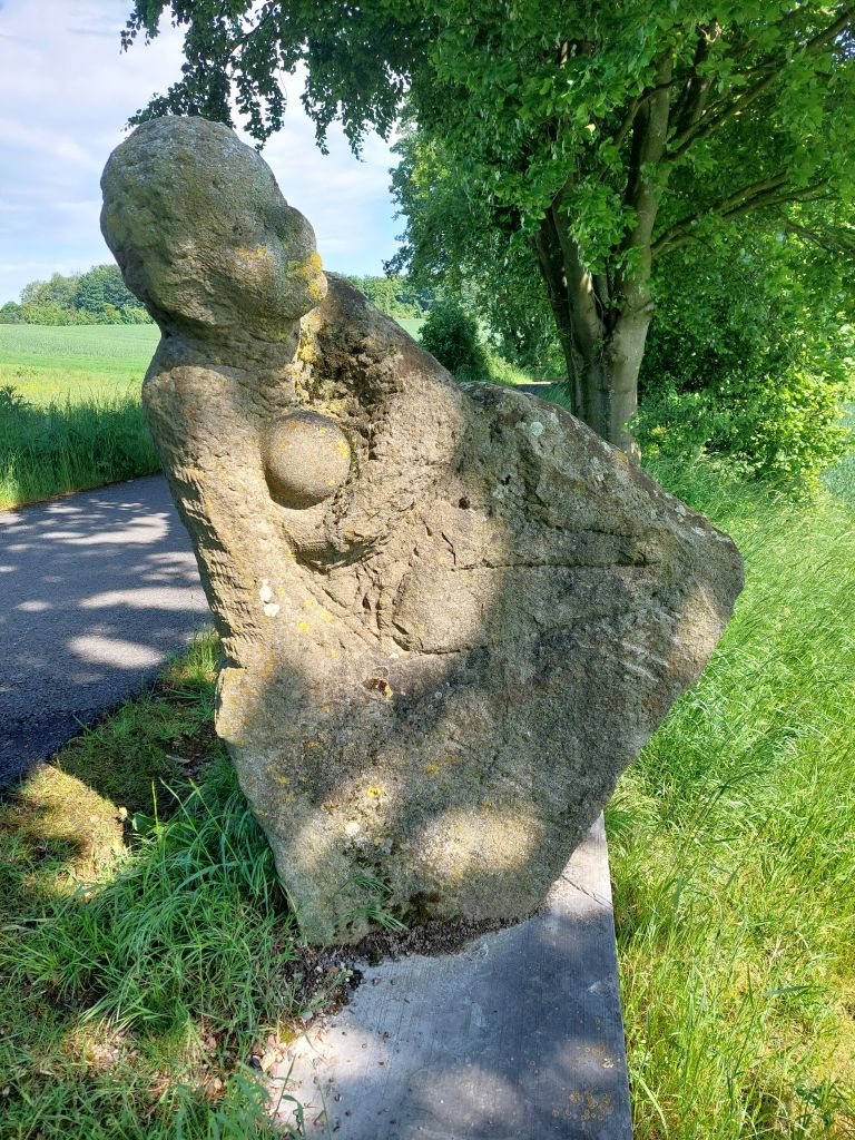 Klick für eine vergrößerte Abbildung Bild